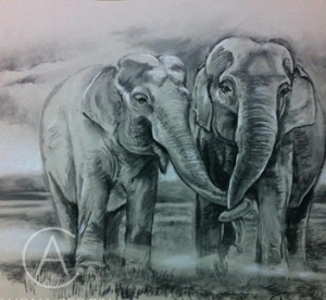 Elephants