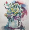 Succulent in a cup