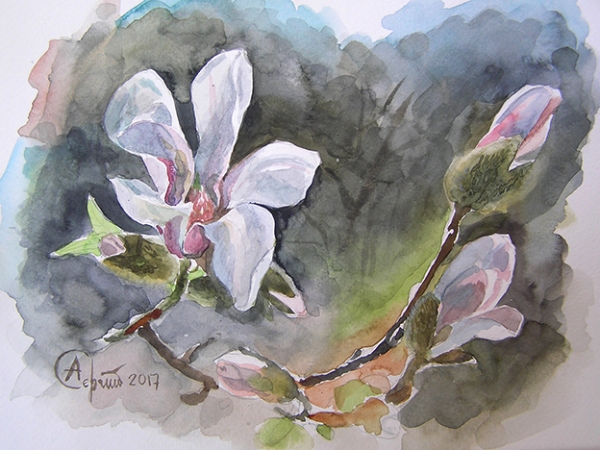 Blooming magnolia branch