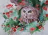 Owl and berries