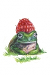 Frog and raspberry