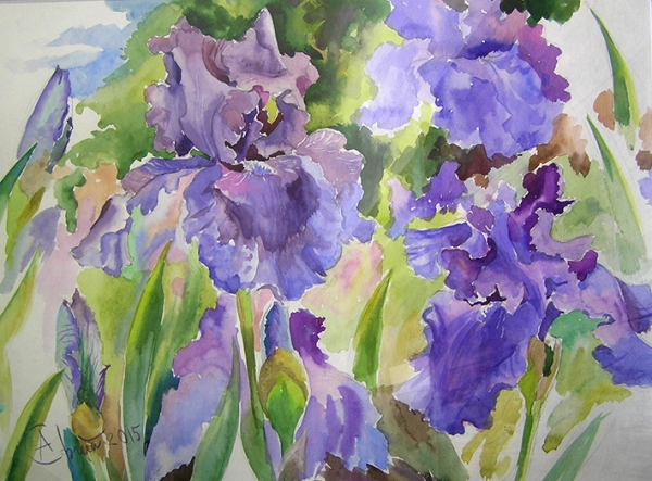 Blue irises