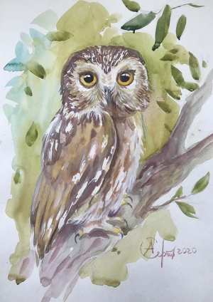 Owl on green