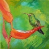 Humming bird on a green background
