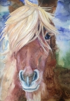 Horse with bangs
