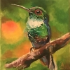 Green humming bird on a branch