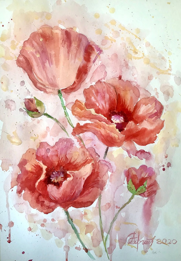 Poppies